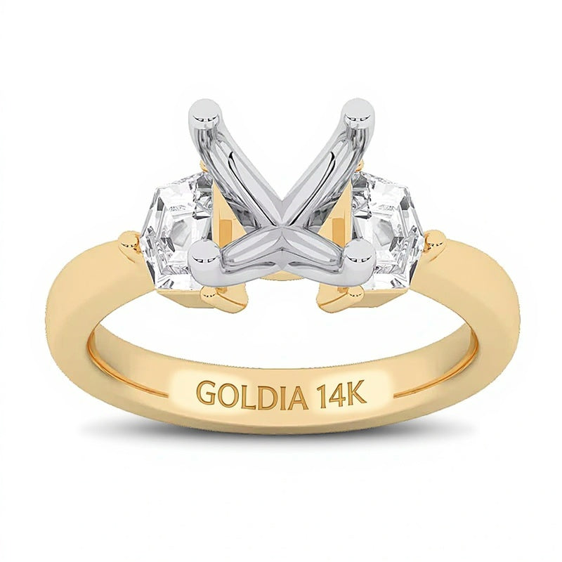 0,63 ct. Gesamtgewicht Labordiamant Ring-Rohling in 14K Gelbgold (F/VS2)
