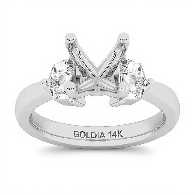 0.63 ct. Gesamtgewicht Labordiamant Semi-Mount in 14K Weißgold (F/VS2)