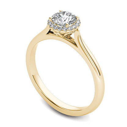 0,5 ct. Gesamtgewicht Diamant-Halo-Verlobungsring in 14K Gelbgold