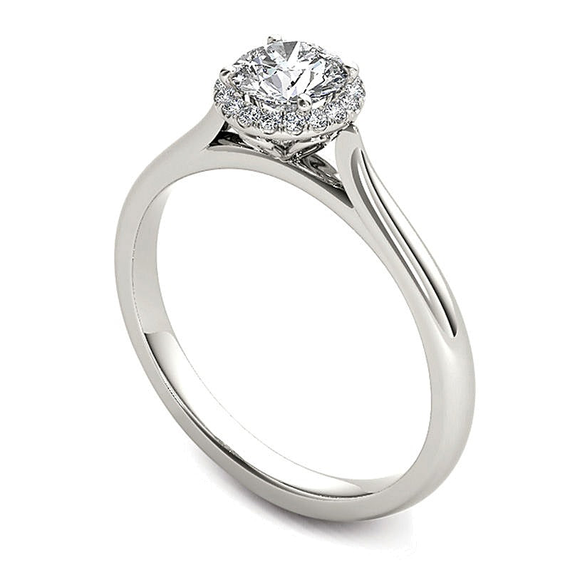 0.5 ct. Gesamtgewicht Diamant Halo-Verlobungsring in 14K Weißgold