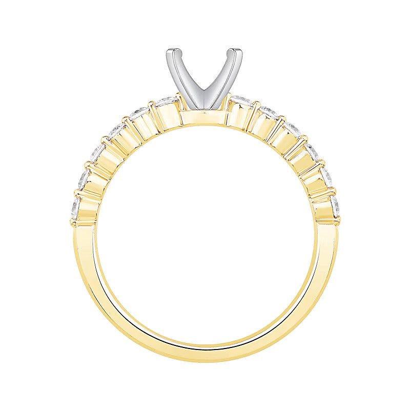 0.33 ct. Gesamtgewicht Diamant Vintage-inspirierter Solitär-Fassung in 14K Gelbgold