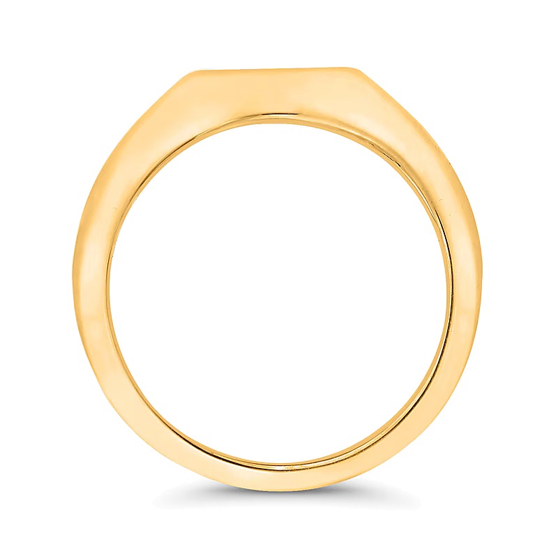 Diamant-Solitär Signet-Ring North Star in 10K Gelbgold