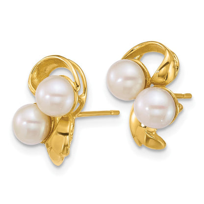 14K Gelbgold Poliert 5-6mm Knopf Süßwasser Zucht 2-pearl Ohrstecker