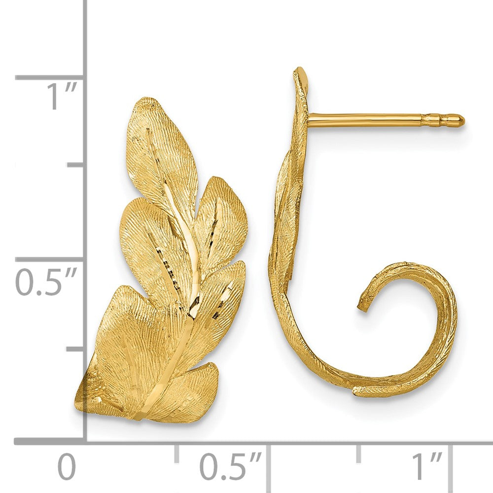 14K Gelbgold Gebürstet und Strukturiert Curled Blatt Ohrstecker