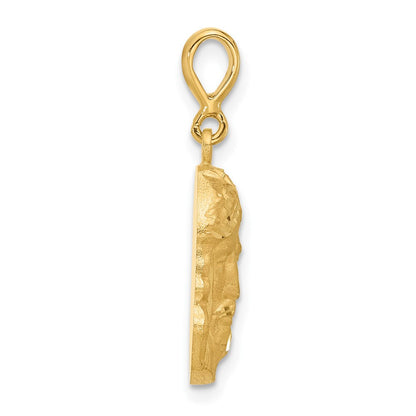 14K Gelbgold Jesus-Medaille-Anhänger, satiniert und diamantiert
