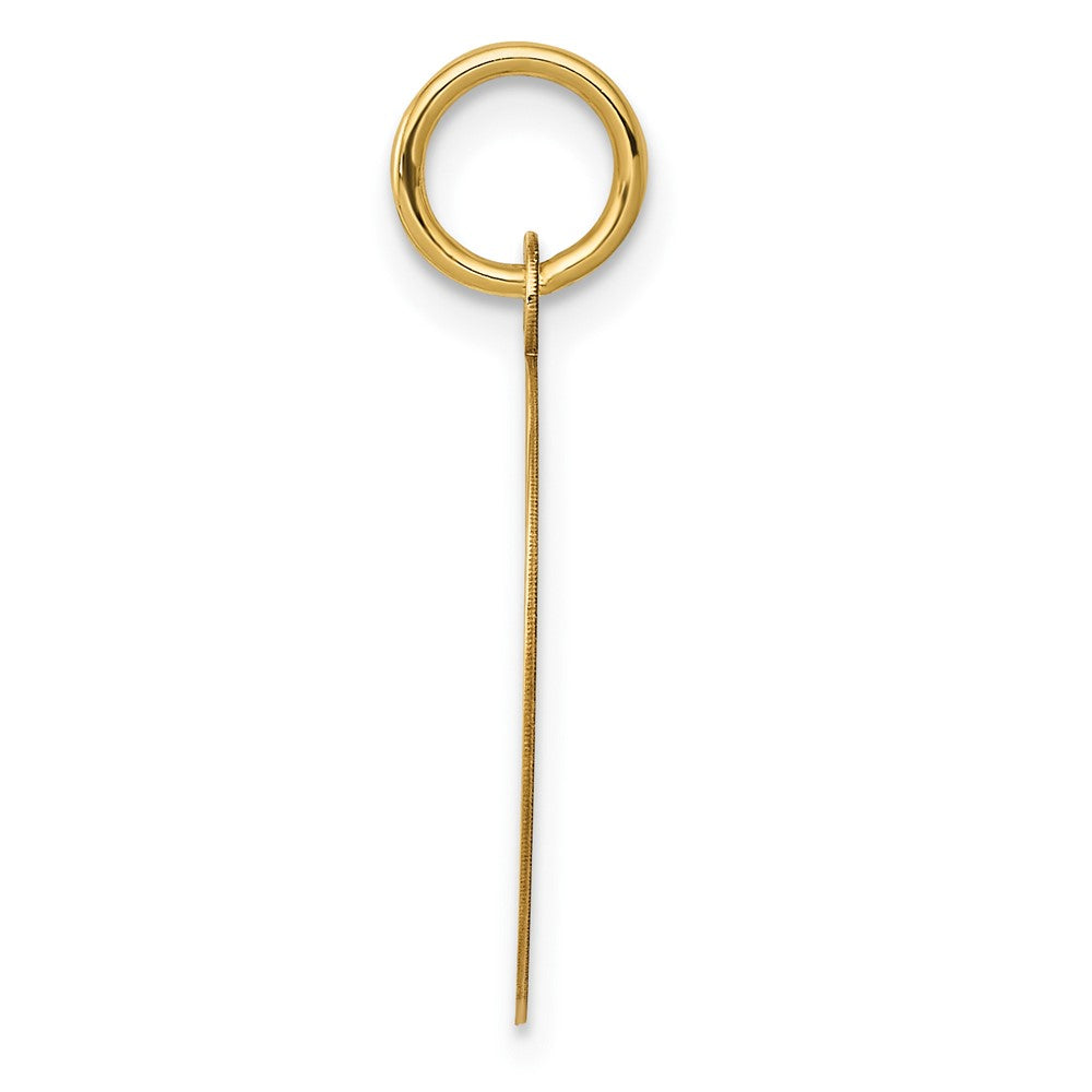 10K Gelbgold Record Album Charm