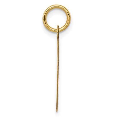 10K Gelbgold Record Album Charm