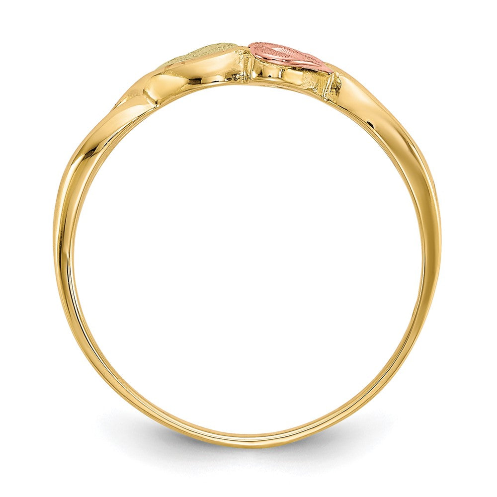 10K Tricolor Schwarz Hills Gold Ring