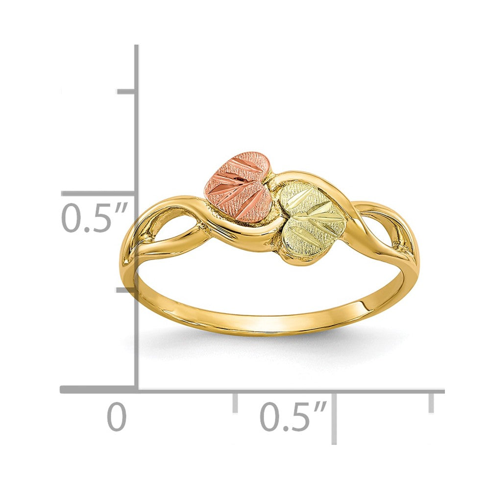 10K Tricolor Schwarz Hills Gold Ring