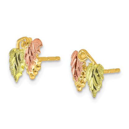10K Tricolor Schwarz Hills Gold Ohrstecker