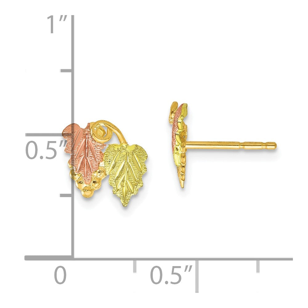10K Tricolor Schwarz Hills Gold Ohrstecker