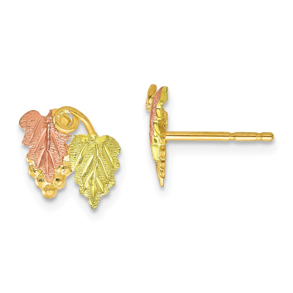 10K Tricolor Schwarz Hills Gold Ohrstecker