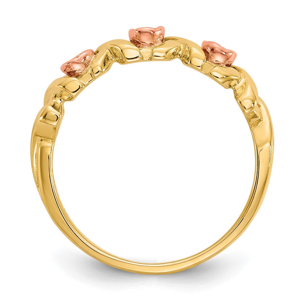 10K Bicolor mit 12K Akzente Schwarz Hills Gold -x- und Rose Ring