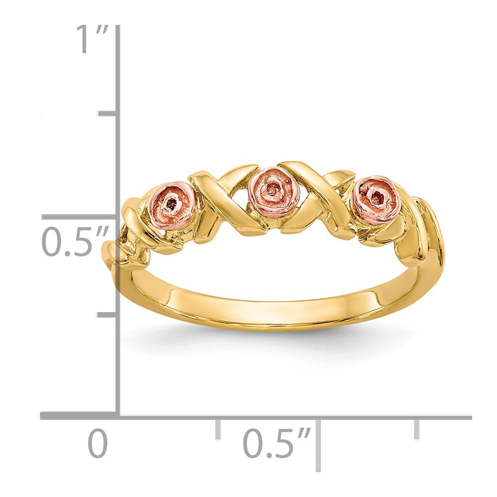 10K Bicolor mit 12K Akzente Schwarz Hills Gold -x- und Rose Ring