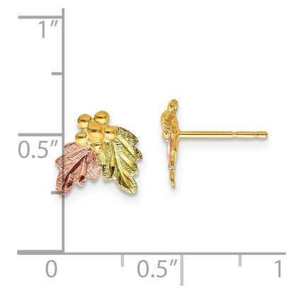 10K Tricolor Schwarz Hills Gold Ohrstecker