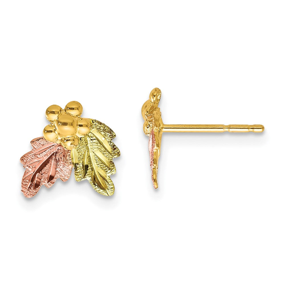 10K Tricolor Schwarz Hills Gold Ohrstecker