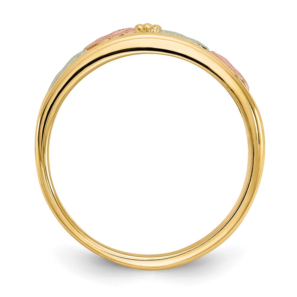 10K Tricolor Schwarz Hills Gold Ring