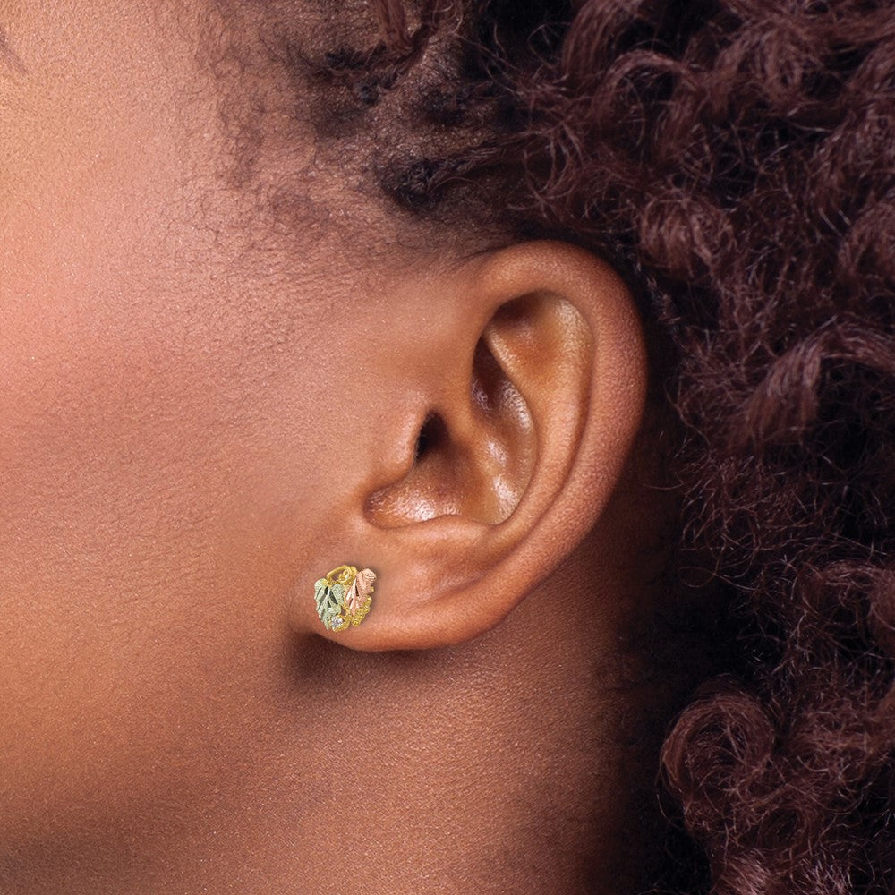 10K Tricolor Schwarz Hills Gold Diamant Ohrstecker