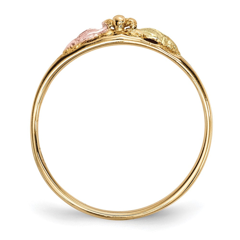10K Tricolor Schwarz Hills Gold Ring
