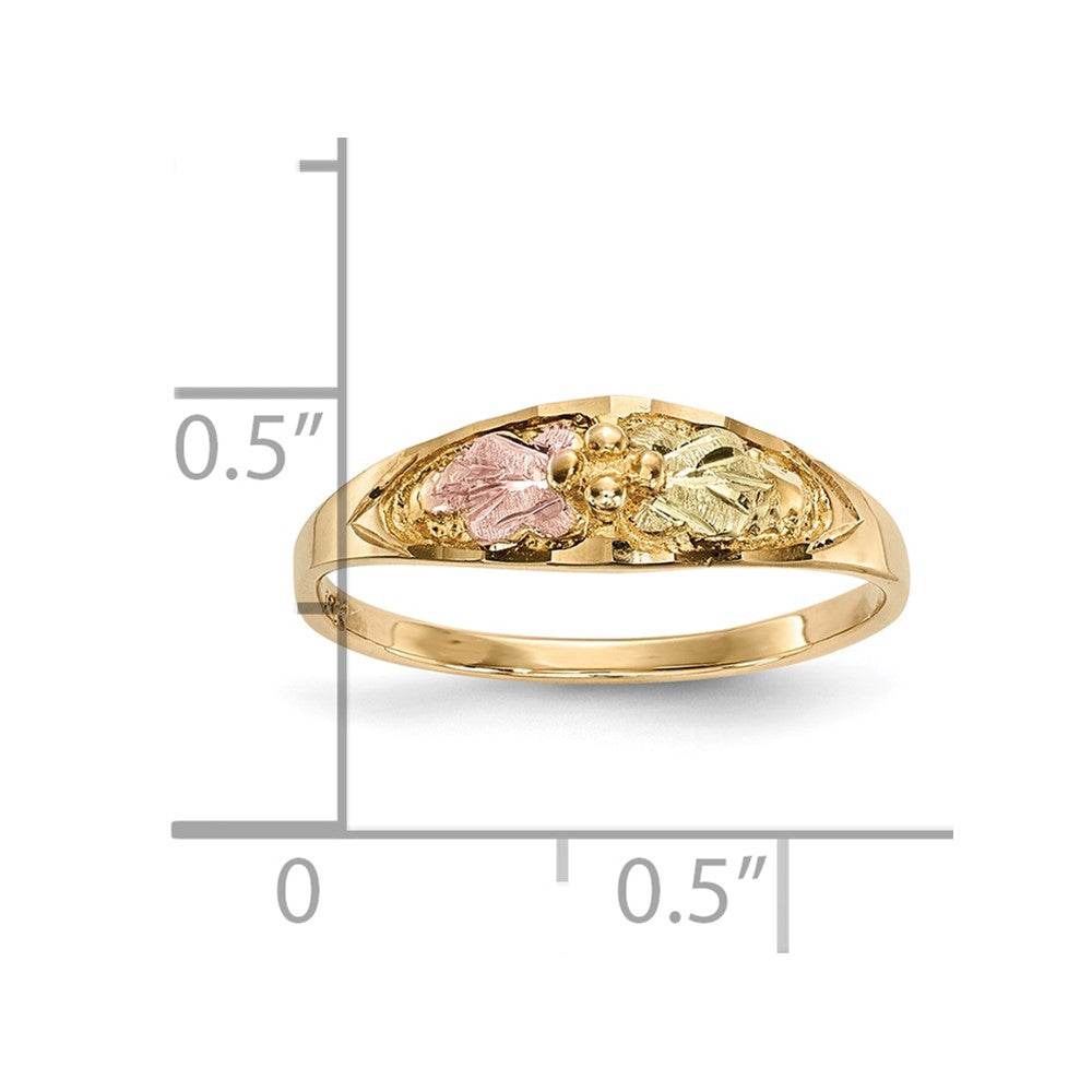 10K Tricolor Schwarz Hills Gold Ring