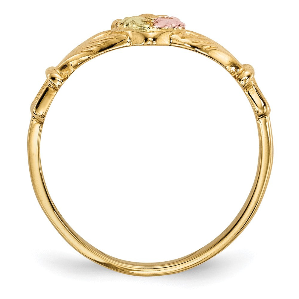 10K Tricolor Schwarz Hills Gold Claddagh Ring