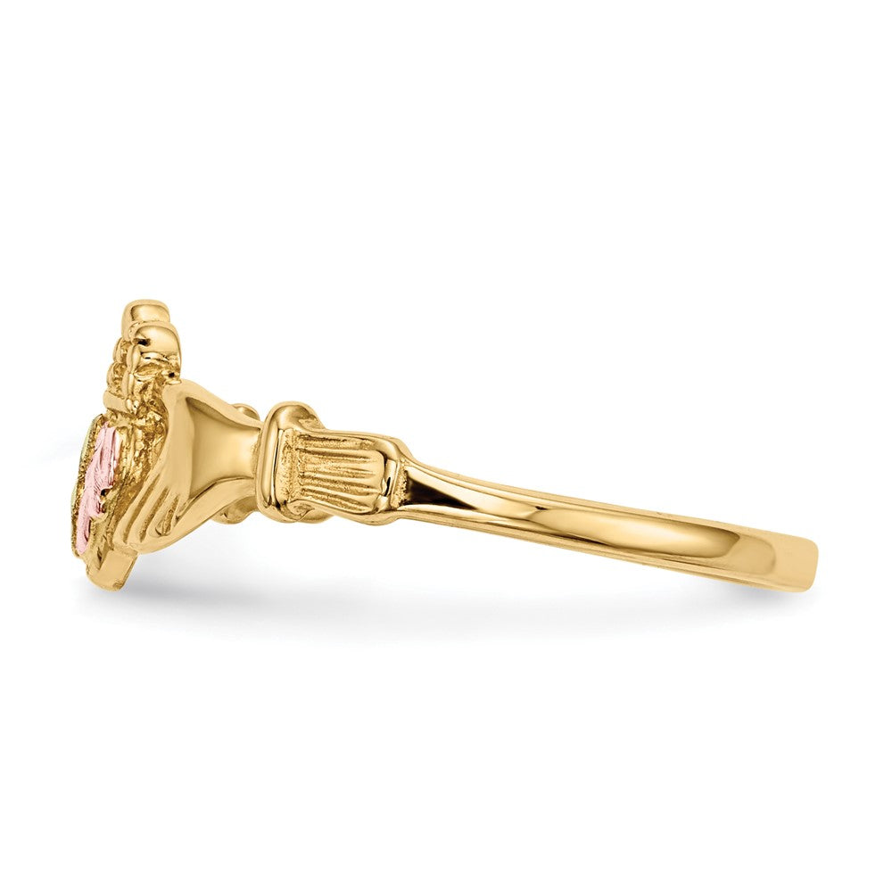 10K Tricolor Schwarz Hills Gold Claddagh Ring