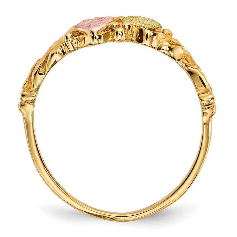 10K Tricolor Schwarz Hills Gold Ring