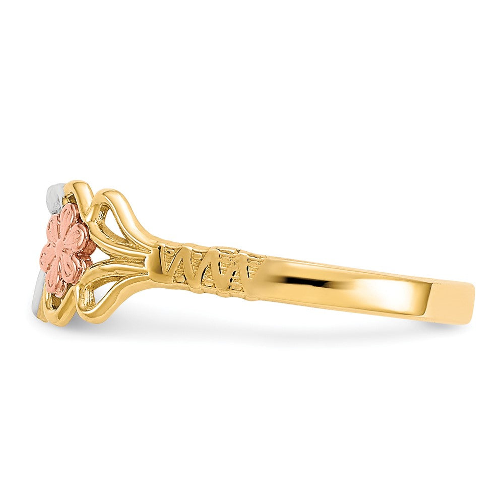 10K Zweifarbiges Gold mit Weißrhodium Doppelherz-Ring