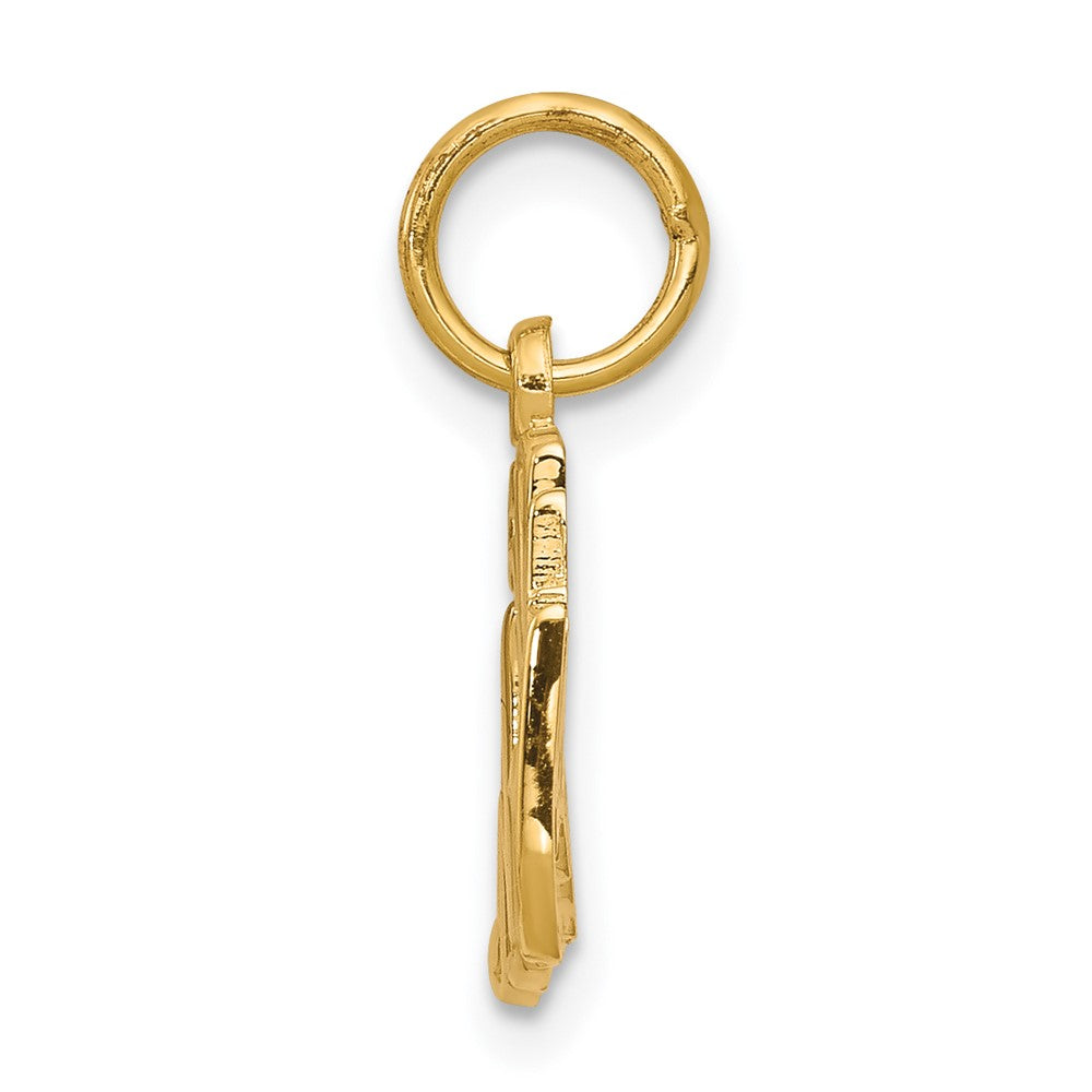 10K Gelbgold 50th Jahrestag Charm