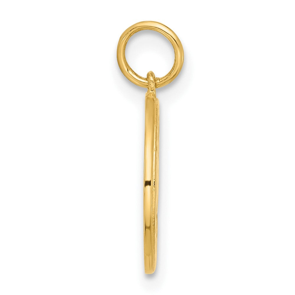 10K Gelbgold 10K Poliert Zirkonia Good Luck Medallion Charm
