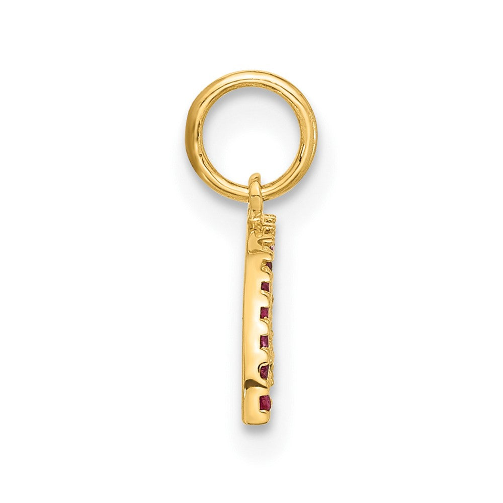 10K Gelbgold 10K Poliert Zirkonia Regenbogen Charm