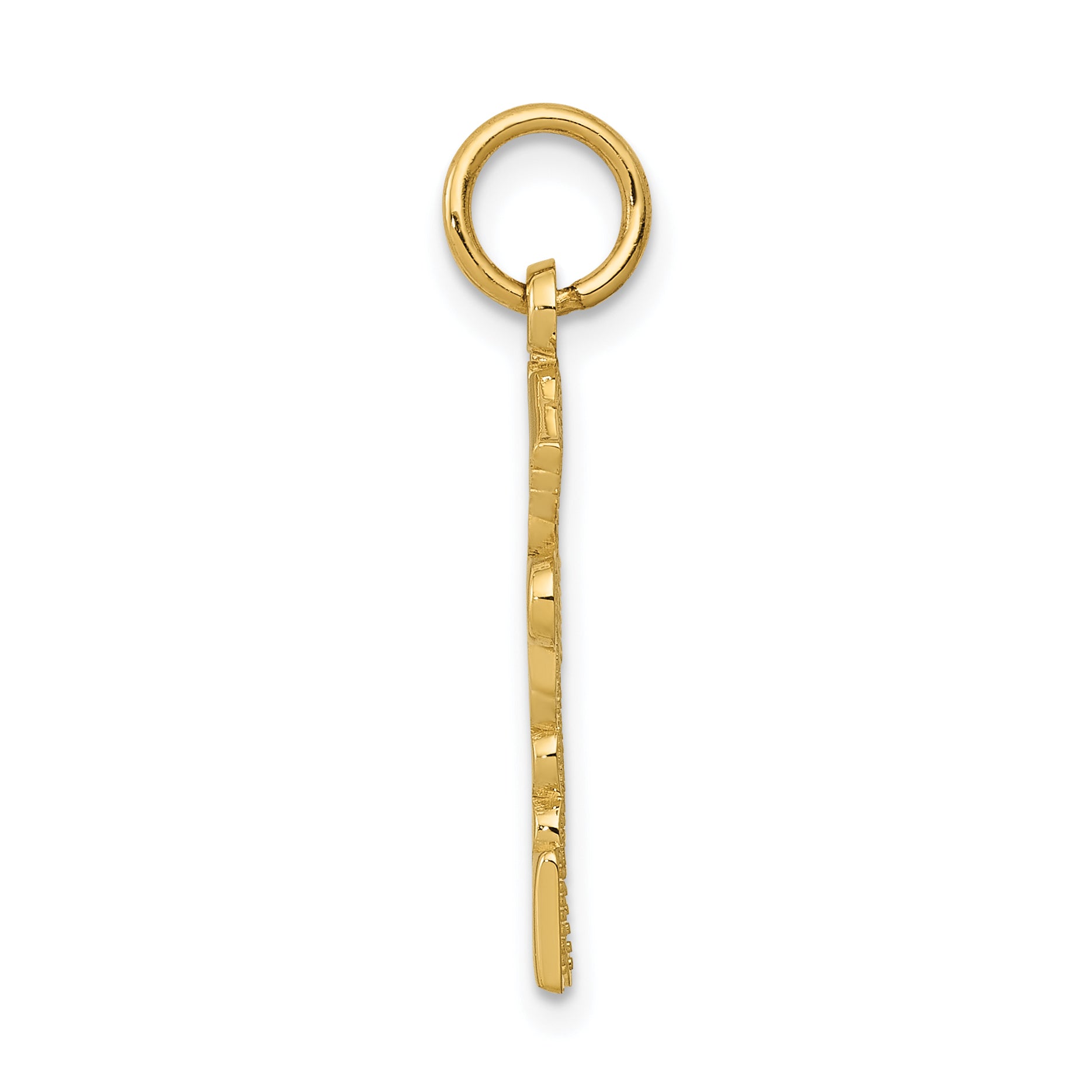 10K Gelbgold Registered Krankenschwester Practitioner Charm