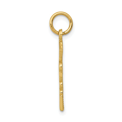10K Gelbgold Registered Krankenschwester Practitioner Charm