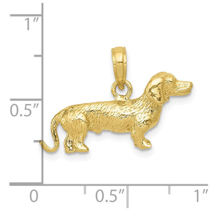 10K Gelbgold Massiv Poliert 3-dimensional Draht Haired Dachshund Charm
