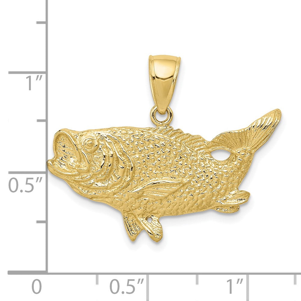 10K Gelbgold 10K Poliert Offen-backed Barsch Fisch Anhänger