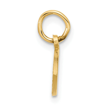 10K Gelbgold Jesus Fisch Charm