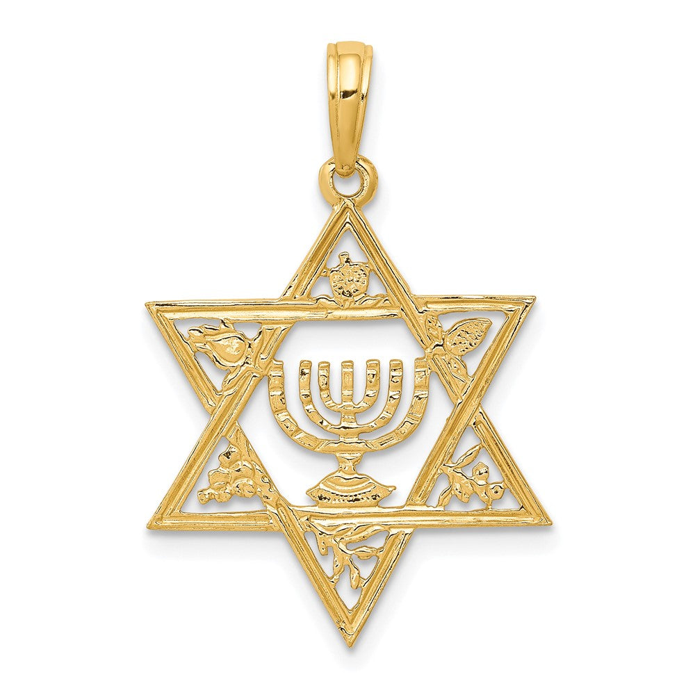 10K Gelbgold 10K Stern Of David mit Menorah Anhänger