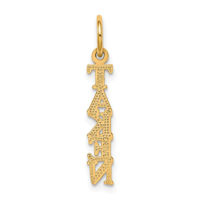 10K Gelbgold Talking - Taken Charm