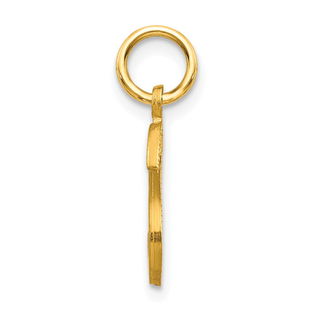 10K Gelbgold Initiale S Charm