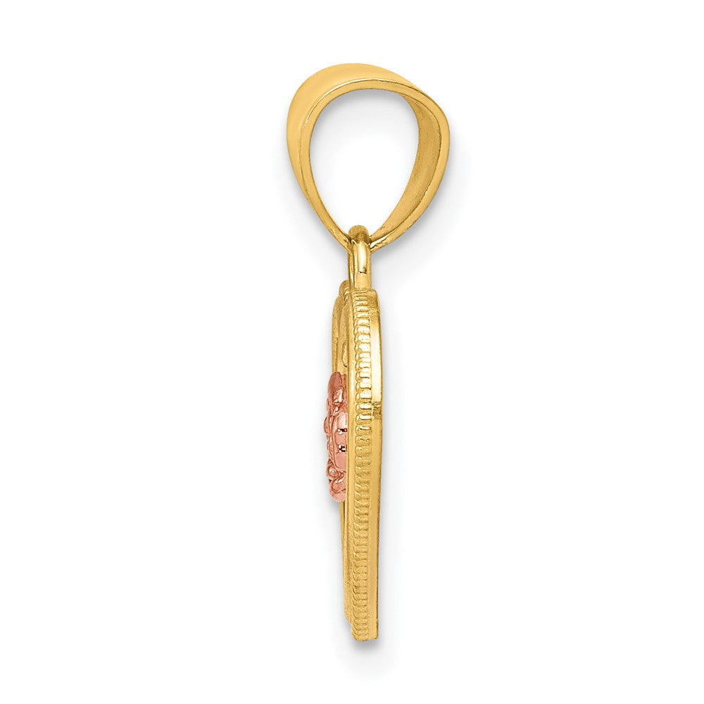10K Bicolor Klein Herz Charm