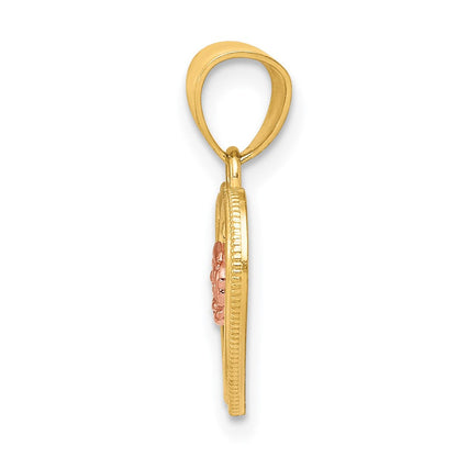 10K Bicolor Klein Herz Charm