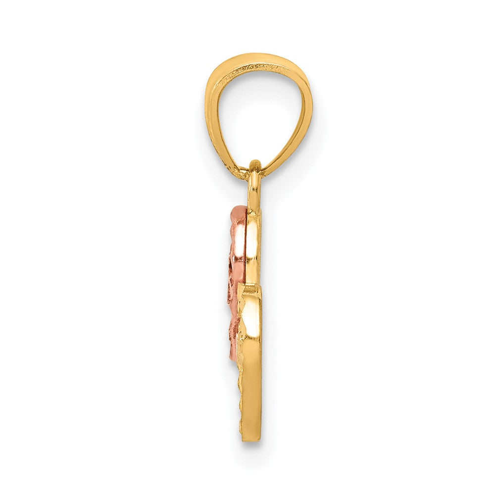 10K Bicolor Klein 15 Anos Charm