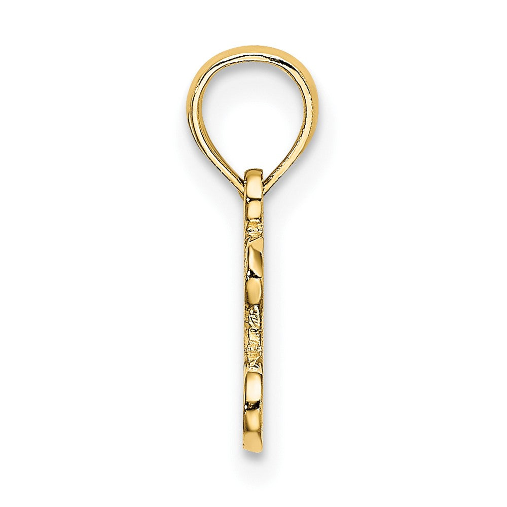 10K Gelbgold 10K Poliert / Strukturiert I Liebe Gold Charm