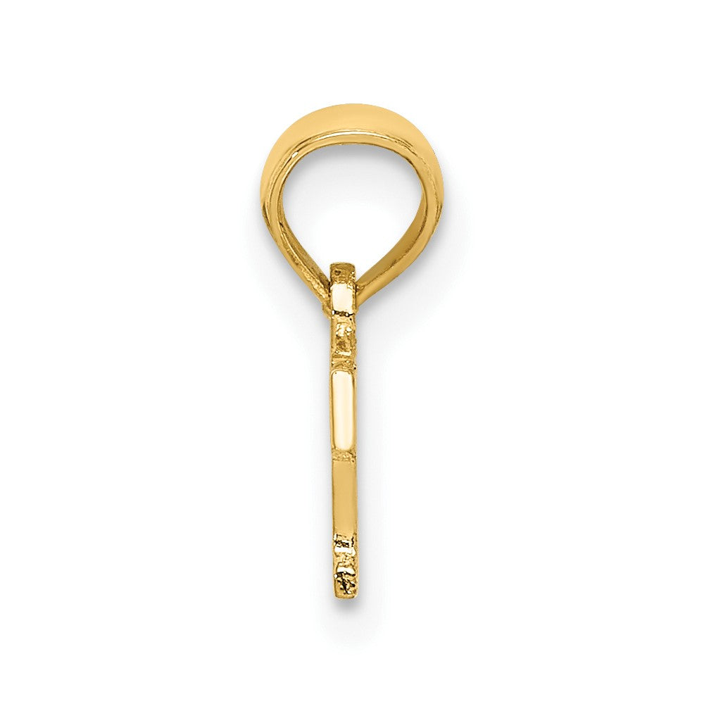 10K Gelbgold 10K Poliert Brat Charm