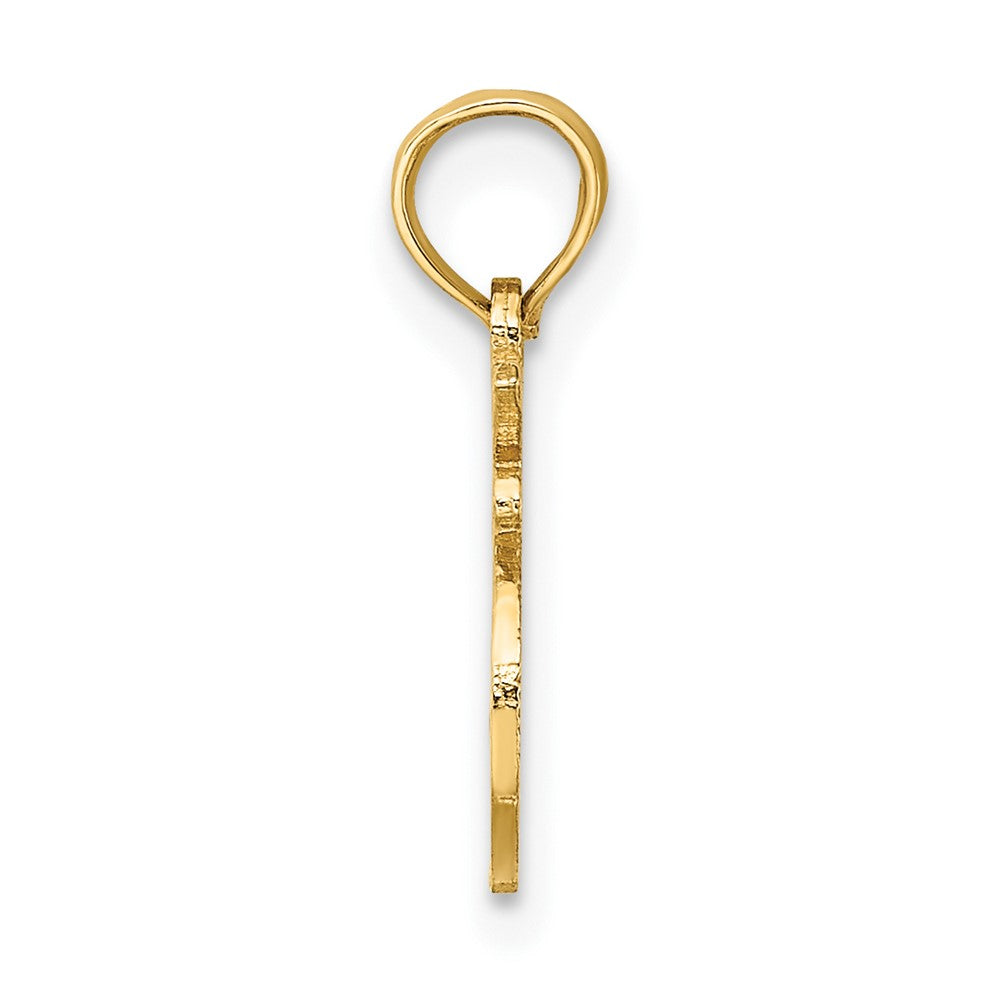 10K Gelbgold 10K 100% Leo Tierkreis Charm