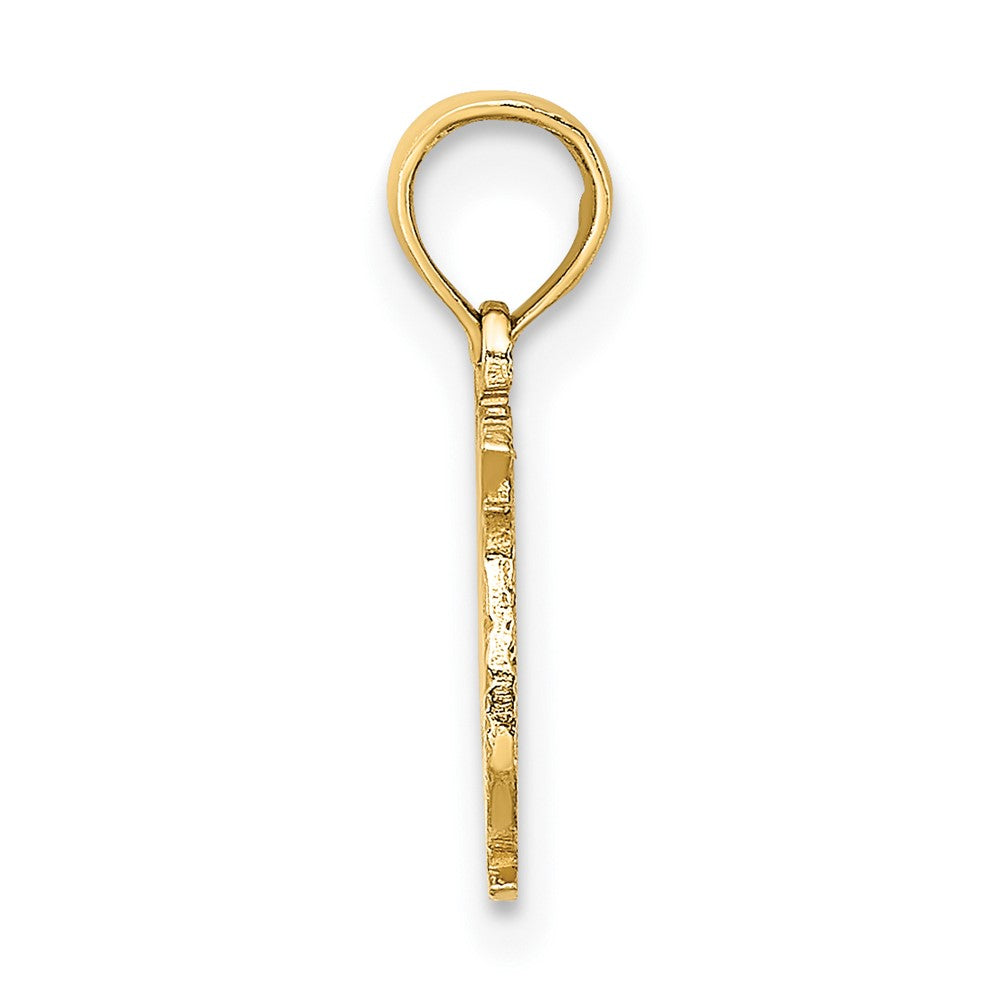 10K Gelbgold 10K 100% Pisces Tierkreis Charm