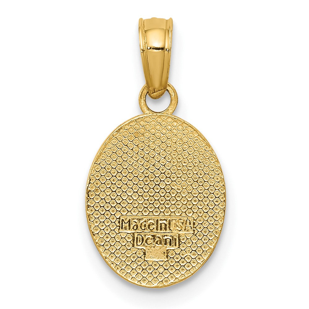 10K Gelbgold Poliert Klein Fleur De Lis in Oval Anhänger