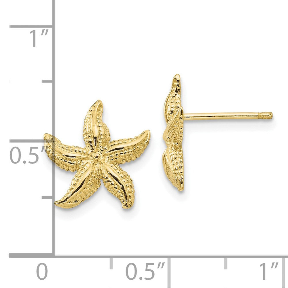 10K Gelbgold Seestern Ohrringe