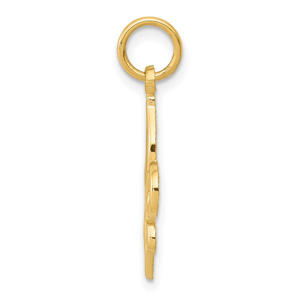 10K Gelbgold Fleur De Lis Charm