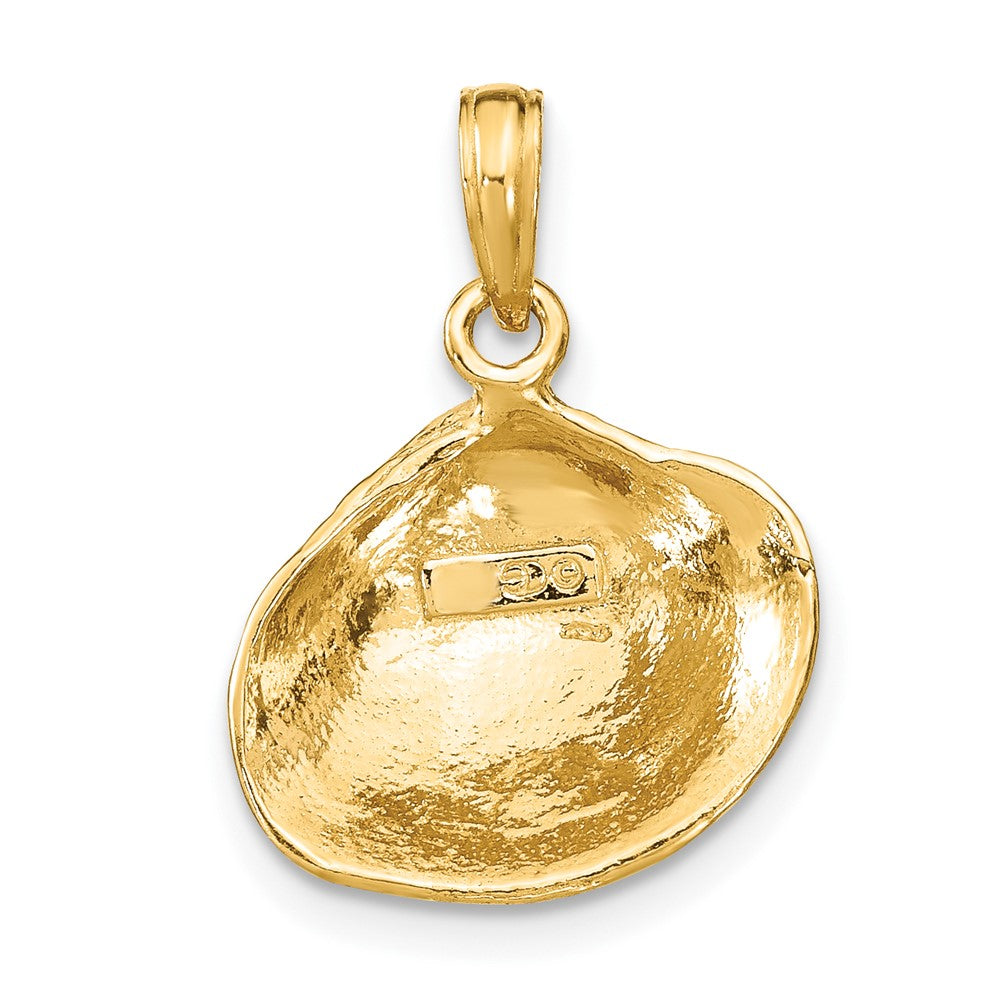 10K Gelbgold 10K Mittel Clam Muschel Anhänger